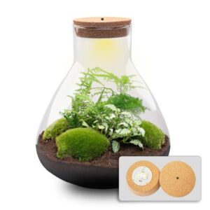 Terrarium - Sam XL + LED - ↑ 32 cm - DIY