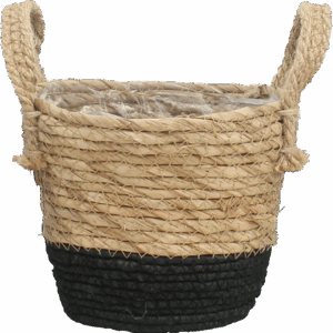 Mand Java - D20