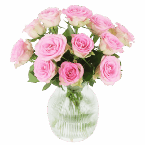 Süße Rosen - rosa Rosen im Briefkastenpaket